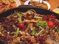 -老板恋上鱼(恒隆广场店)