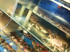 -广记海鲜(杨汊湖一店)