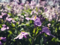 -绿岛公园(滨海新区)
