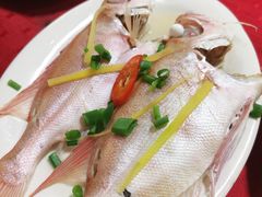 清蒸大眼鱼-蛇口康乐快餐鱼仔档(翠苑小区店)