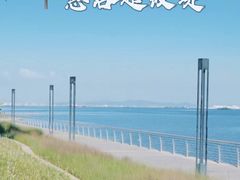 -长洲岛