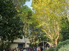 -人民公园-相亲角