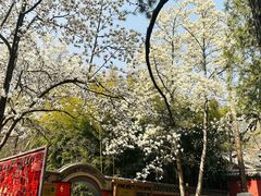 -潭柘寺景区