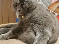 -么么咖啡(燕郊店)