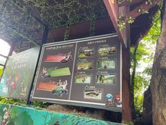 -海南槟榔谷黎苗文化旅游区