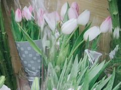 -亭亭鲜花店(中山北路店)