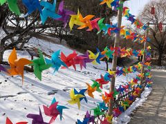 -北京西山国家森林公园