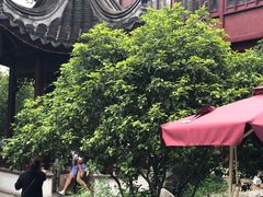 -祝家花園(伯渎港店)
