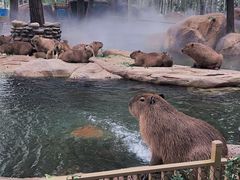 -北京野生动物园