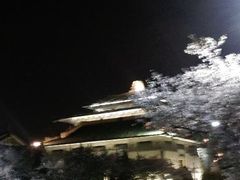 -武汉大学-樱园
