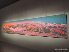 -罗红摄影艺术馆