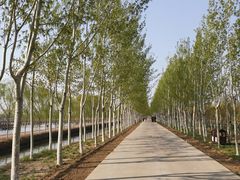 -西青郊野公园