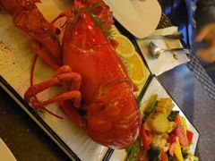 -haxnbauer海森堡德国餐厅(深圳coco店)