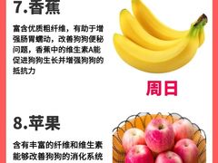 -泰洋动物医院·神经专科·磁共振·CT(天河公园总院)