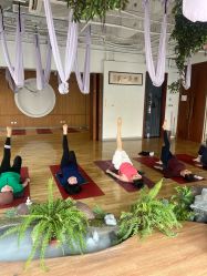 -花间禅净·瑜伽