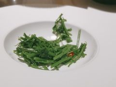 -觀芷隐轩