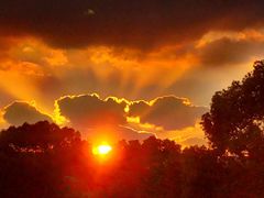 -浦江镇(地铁站)