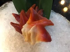 -真剑日本料理·铁板烧(贵州路店)