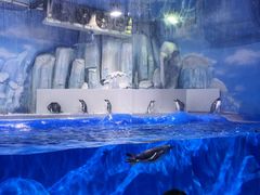 -石家庄市动物园