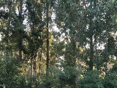 -白洋淀景区