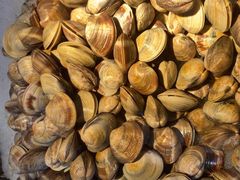 -圣罗巴海鲜烤肉自助(佳兆业店)