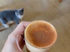 -猫咖时代(中山亭店)
