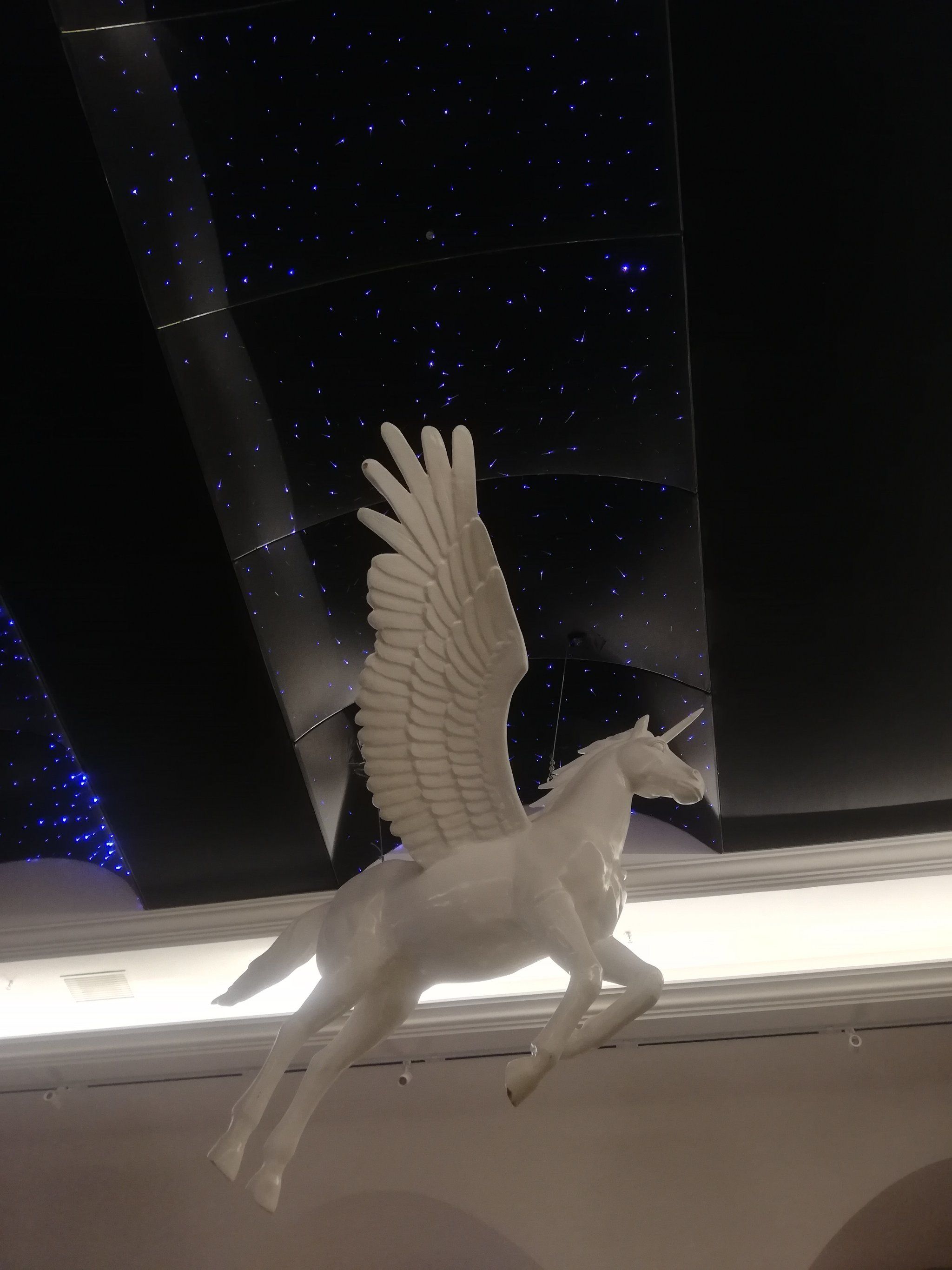 沐浴之地有天马