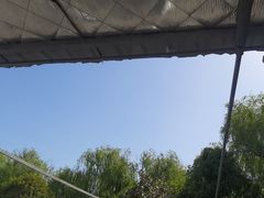 -名骏车业(园区星明店)
