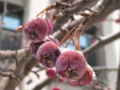 -东北大学(南湖校区)