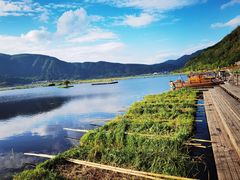 -腾冲北海湿地