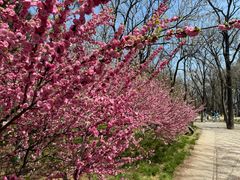 -元大都城垣遗址公园