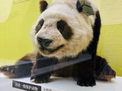 -国家自然博物馆