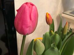 -双季花艺园艺市场(浦东店)