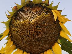 -汉长安城未央宫国家考古遗址公园