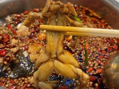 -味之绝美蛙鱼火锅(八号路店)