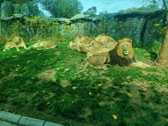 -北京野生动物园