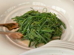 清炒丝瓜苗-人间采蜜(海信广场店)