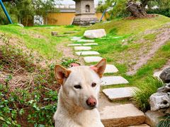-龙华素斋(龙华路店)