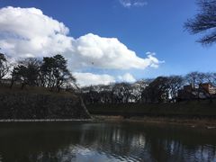 -名古屋城