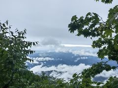 -瓦屋山景区
