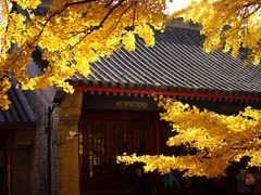 -红螺寺