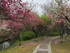 -采石矶景区
