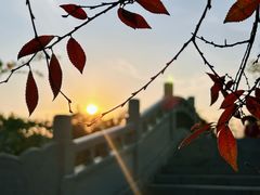 -八大山人梅湖景区