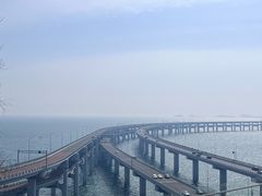 -星海湾跨海大桥
