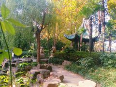 -黄兴公园