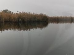 -白洋淀景区