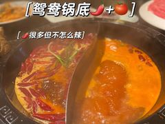 -袁老四重庆老火锅(桐梓坡店)