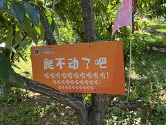 -吉姆冒险世界(蓟州店)