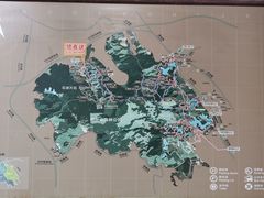 -阳台山森林公园