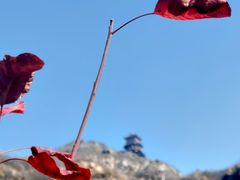 -定都峰